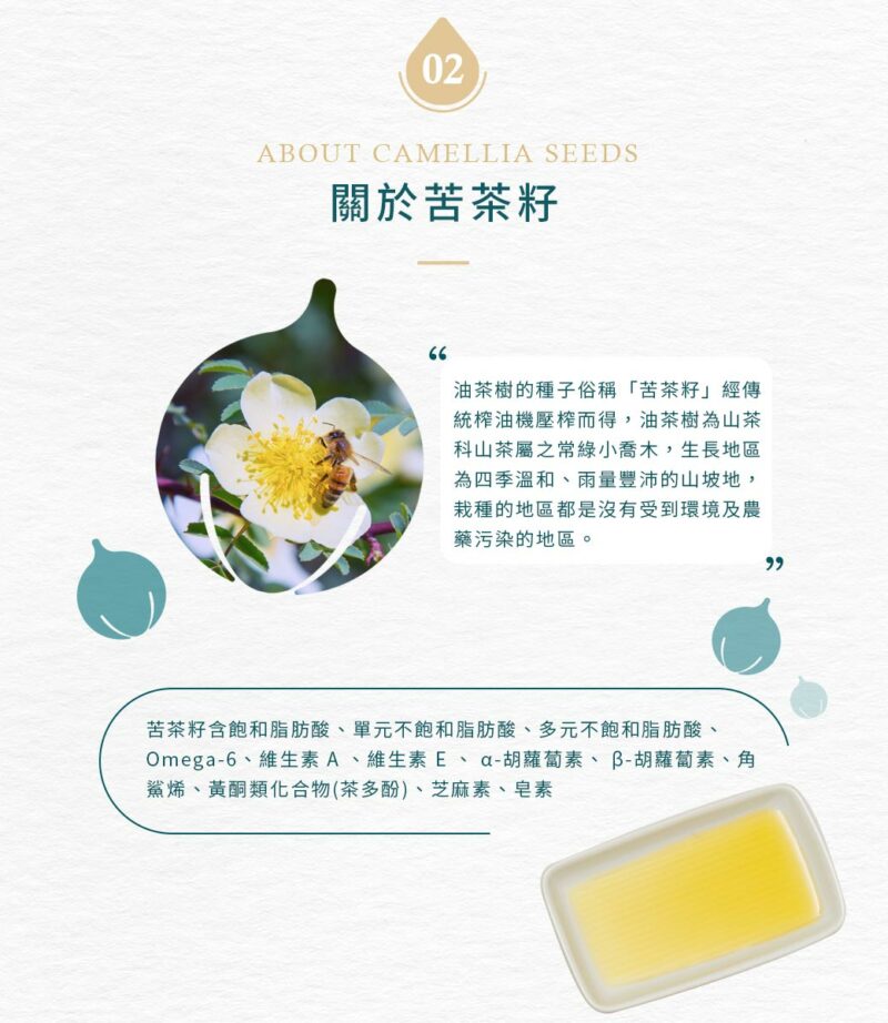 E504a08c 699c 4c6e 820d b1d74bc26438